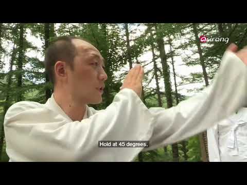 Taekwondo ancestor Taekkyeon