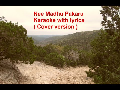 Nee Madhu Pakaru Malayalam Karaoke with Lyrics ( Cover version)