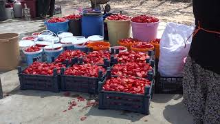 TALAS’TA KIŞA HAZIRLIK GÜNLERİ BAŞLIYOR