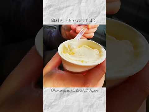 岡村島（おかむらじま）in Ehime,Setouchi #Shorts