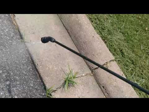 download lagu mp3 mp4 Arkansas Lawn Weeds, download lagu Arkansas Lawn Weeds gratis, unduh video klip Arkansas Lawn Weeds