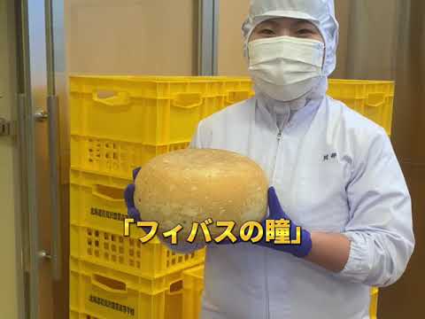 《柚木恵介賞(特別賞)》空知ワインを使った製品を身近なものに〜世界に羽ばたく空知ワインと乳製品の可能性〜