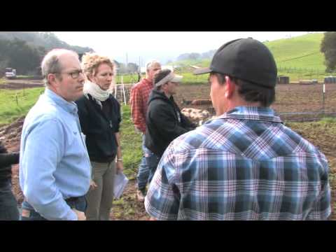 Pt 3. The Salatin Consultation 2010