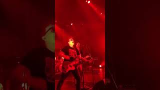 🤯 Joyce Manor &amp; Mark Hoppus - Heart Tattoo, celebrating 10 years of Never Hung Over Again. #shorts