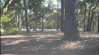 Cinders by Matt & Kim