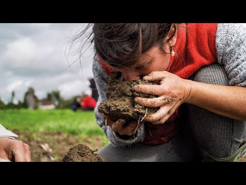 Unser Boden, unser Erbe (2019) HD-Trailer, deutsch