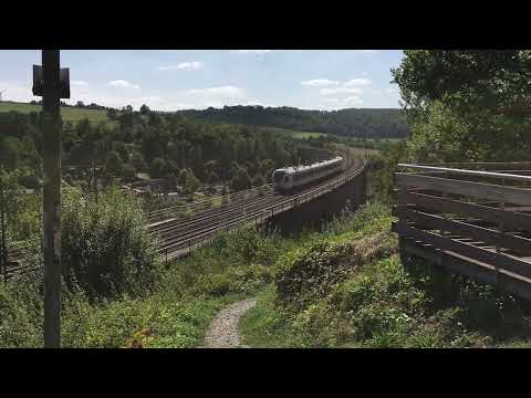 RB 89 nach Warburg auf dem Altenbekener Viadukt, August 2022