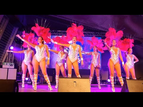 GRES Charanguinha - Unidos da Tijuca 2020 @Festival Samba Estarreja 2023 4K