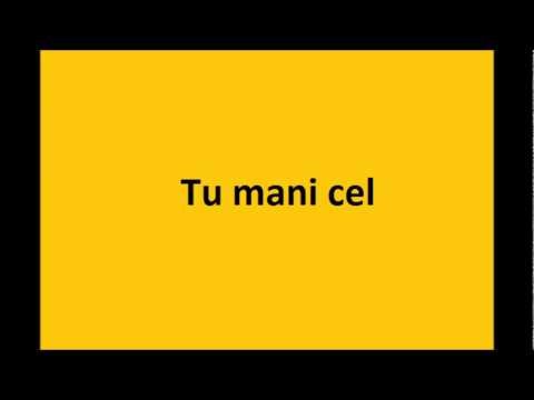 TU MANI CEL - Dj Dween & Miks Dukurs (edzamix)