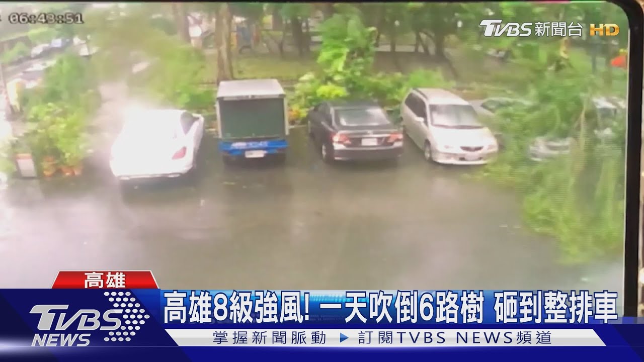 高雄8級強風!一天吹倒6路樹 砸到整排車