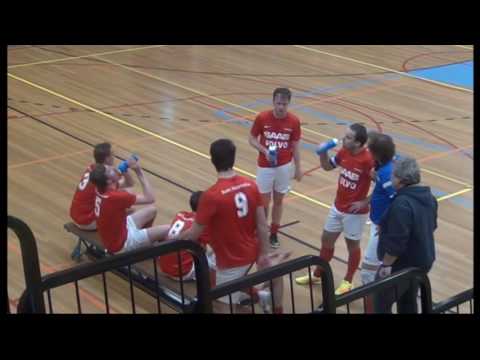 Samenvatting Excelsior'31 2  -   DZVV/ Fabri nl 1(  Zaal )   02  03 2017