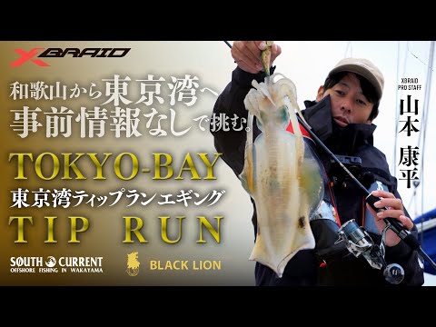 【ティップラン】事前情報なしで挑む東京湾ティップランエギング
