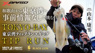 【ティップラン】事前情報なしで挑む東京湾ティップランエギング