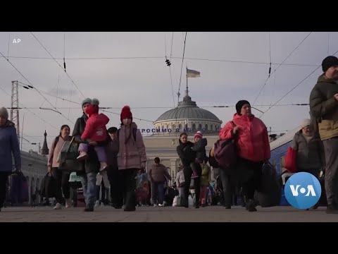 Taekwondo Champion Who Fled Afghanistan, Then Ukraine Hopes to Represent Afghanistan