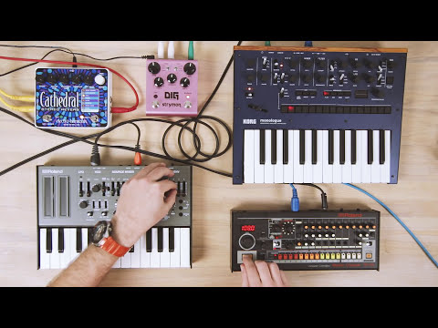 #039 :: Roland Tr-08 // SH-01A // Strymon Dig // Korg Monologue // EXH Cathedral