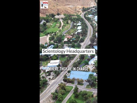 What happened to the "queen" of scientology?