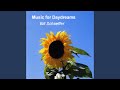 O Happy Day - Bill Schaeffer - Topic O Happy Day