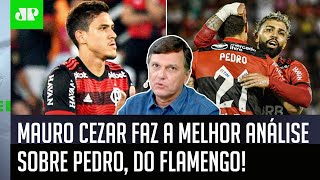 ‘Gente, o Pedro escolheu isso’: Mauro Cezar faz a melhor análise sobre o atacante do Flamengo