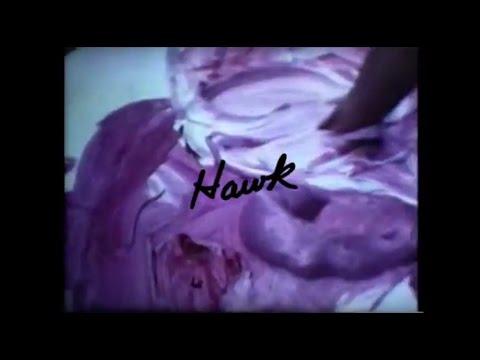 Brasstronaut - Hawk (Official Video)