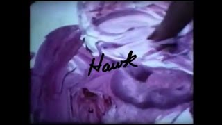 Brasstronaut - Hawk (Official Video)