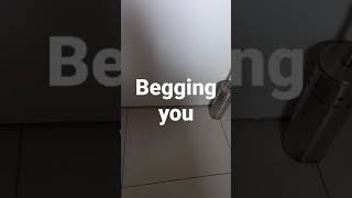 Download lagu begging you mp3