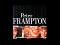 Wasting The Night Away - Peter Frampton