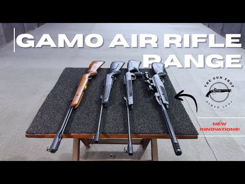 In-Depth Review of 4 Mid-Range Gamo Air Rifles | Features, Shooting Test & Comparison