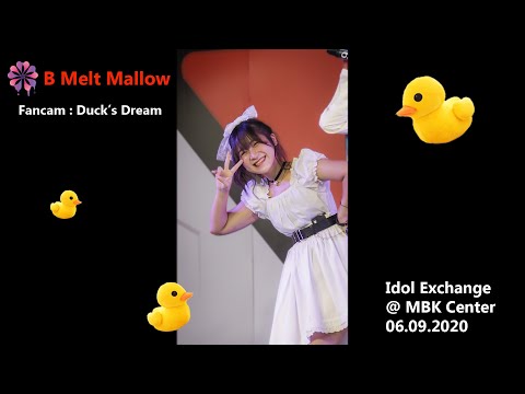 [Fancam] B Melt Mallow - Duck's Dream (เป็ด) @ Idol Exchange 06092020