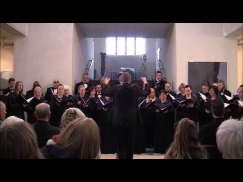 Donatas Zakaras „Išėjau iš proto“