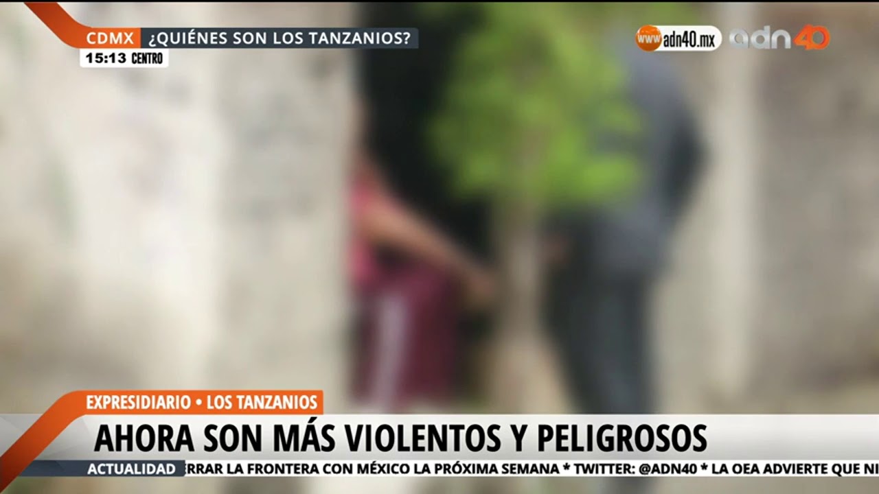 Autoridades le siguen la pista a los Tanzanios