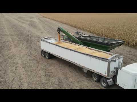 Harvest 2020 - Grain cart loading semi