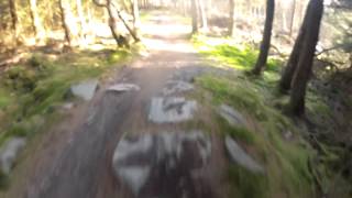preview picture of video 'Spooky Wood- Glentress Forest GoPro Headcam'