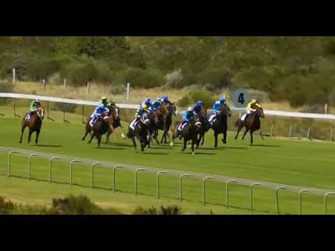 CLIFF TOP - CITY OF CAPE TOWN SUMMER JUVENILE STAKES, KENILWORTH (LISTED)