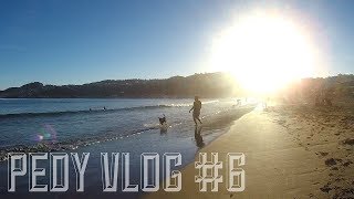 The first watching of Rugby game 🏉!!-#Pedy VLOG #6- 初見ラグビー試合！