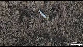 В селе Николаевской области нашли фугасную авиабомбу с 250 кг тротила (видео)