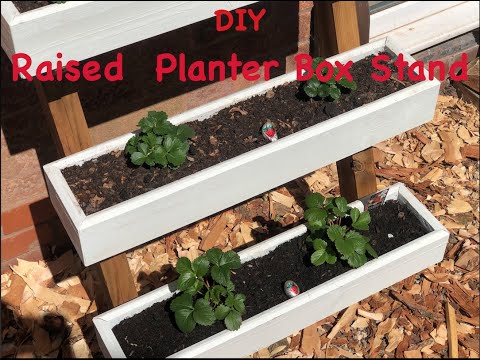 FREE DIY Modern Raised Planter Box Stand - How to Build -  Wood Working