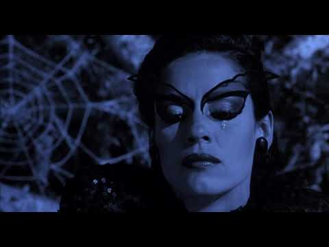 Kiss of the Spider Woman 1985 - Molina, Valentin and the Spider Woman