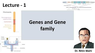 #Gene family and #Human Genome Project L1