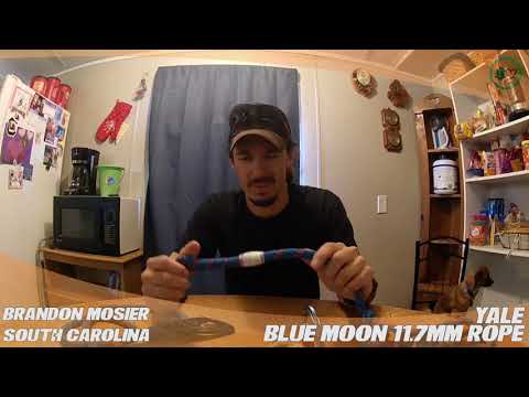 YouTube Thumbnail WViCUbBKPKc