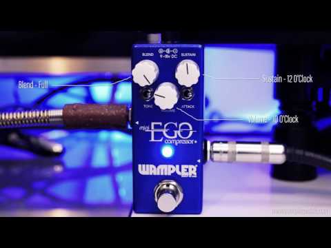 Wampler Ego Mini - Tom Quayle Demo - 4k