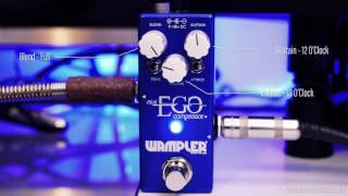 Wampler Ego Mini - Tom Quayle Demo - 4k