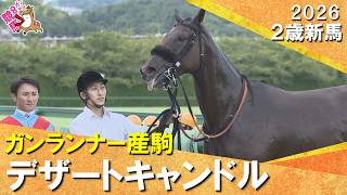 ９番人気の米国産馬デザートキャンドルが波乱V！長谷川師「最後でかわせたのは馬の気持ち」2026年9月5日(土)２歳新馬　阪神ダート1400m　実況：岡安譲【カンテレ公式】