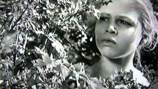 The Wedding Present - "White Horses"