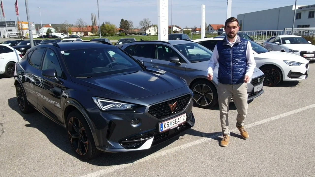 Seat und Cupra e-Hybrid Vor und Nachteile