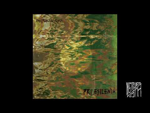Instrukcja Pusta - Degeneracja Z
