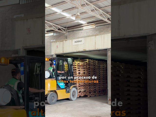 imagen-video-thefoodtech