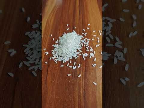 White 26kg sampa masuri aromatic rice, pp bag