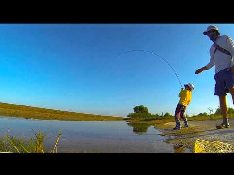 My 5-yr old hooking a peacock bass in the Everglades