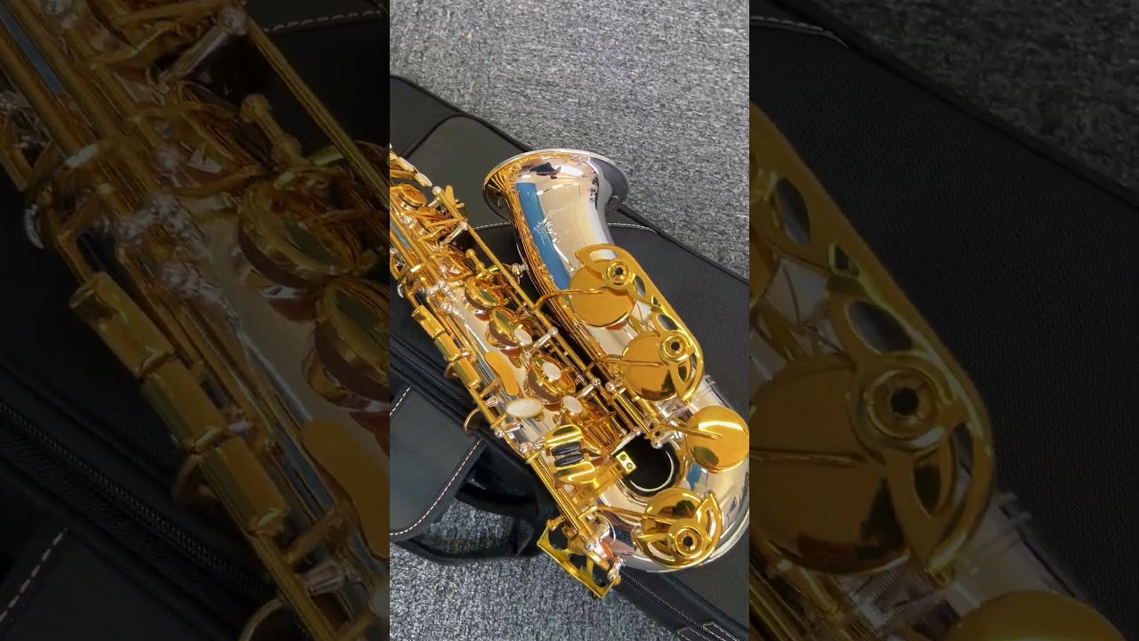 Sax Alto Corpo Prateado Chaves Douradas (Gold) Estojo Tokai Wind