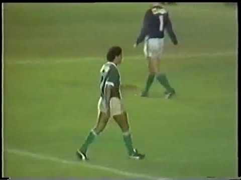Flamengo 1-1 Palmeiras(Campeonato Brasileiro 1988)-Gols e Pênaltis